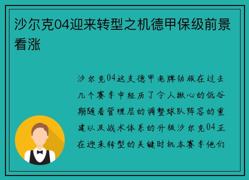 沙尔克04迎来转型之机德甲保级前景看涨